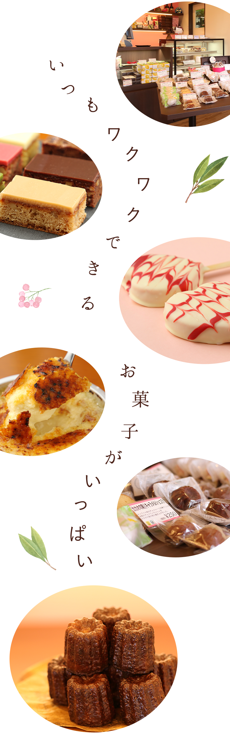 お菓子.店内 ケーキ.陳列